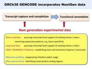GRCh38 GENCODE incorporates NextGen data
Transcript capture and completion Functional annotation
Next generation experimental data
Short read data: querying transcript-level support of existing introns / exons
examining expression patterns, e.g. tissue specificity
Long read data: querying transcript-level support of existing introns / exons
CAGE / RAMPAGE / PolyAseq: establishing start and end points of genes / transcripts
Ribosome profiling: reappraising initiation codon usage
Mass spectrometry: identifying novel protein-coding regions
 