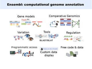 Ensembl: computational genome annotation
 