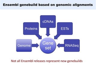 Ensembl genebuild based on genomic alignments
Not all Ensembl releases represent new genebuilds
 
