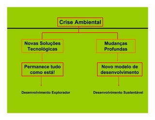 Crise Ambiental


 Novas Soluções                       Mudanças
  Tecnológicas                        Profundas


 Permanece tudo                    Novo modelo de
   como está!                      desenvolvimento



Desenvolvimento Explorador      Desenvolvimento Sustentável
 
