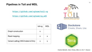 Pipelines in Toil and WDL
https://github.com/vgteam/toil-vg
https://github.com/vgteam/vg_wdl
toil-vg WDL
Graph construction x
Read mapping x x
Variant calling( SNV/indels & SVs) x x
Charles Markello, Glenn Hickey, Mike Lin, Eric T. Dawson
16
 