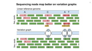 Genome variation graphs with the vg toolkit | PPTX | Genetics | Science