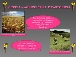 Inpeguinho.no.sapo.pt/.../dogfun-706527.jpg,  Inwww.comerciomaquinas.com/files/Tue12224127200...,  Nas montanhas criavam rebanhos de carneiros e cabras Nas poucas planícies existentes cultivavam cereais (trigo e cevada) vinha, oliveiras e figueiras 