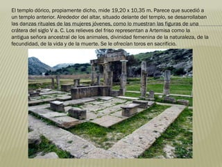 El templo dórico, propiamente dicho, mide 19,20 x 10,35 m. Parece que sucedió a
un templo anterior. Alrededor del altar, situado delante del templo, se desarrollaban
las danzas rituales de las mujeres jóvenes, como lo muestran las figuras de una
crátera del siglo V a. C. Los relieves del friso representan a Artemisa como la
antigua señora ancestral de los animales, divinidad femenina de la naturaleza, de la
fecundidad, de la vida y de la muerte. Se le ofrecían toros en sacrificio.
 