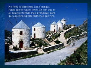 No tome as tormentas como castigos. Pense   que os ventos fortes faz com que as as  raízes se tornem mais profundas, para que   a roseira suporte melhor ao que virá. 