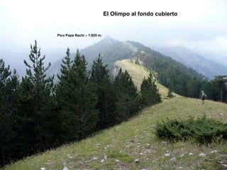 El Olimpo al fondo cubierto Pico Papa Rachi – 1.925 m. .. 