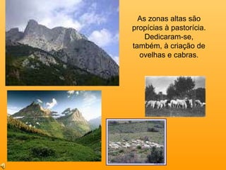 As zonas altas são propícias à pastorícia. Dedicaram-se, também, à criação de ovelhas e cabras. 