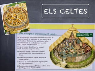 ELS CELTES

 