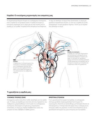 37
Για τη φυσιολογική λειτουργία της καρδιάς, το κυκλοφορικό
σύστημα χρειάζεται συγκεκριμένα θρεπτικά στοιχεία. Πιο
συγκεκριμένα, απαιτείται να ακολουθούμε μια διατροφή πλούσια σε
πολυακόρεστα ω-3 λιπαρά οξέα από ψάρια όπως ο σολομός και το
σκουμπρί, καθώς και μαγνήσιο, το οποίο είναι απαραίτητο για τη
φυσιολογική λειτουργία των μυών (επομένως και της καρδιάς).
Ο σύγχρονος τρόπος ζωής θέτει πολλές προκλήσεις για την καρδιά
μας. Το στρες, για παράδειγμα, είναι ένας από τους παράγοντες που
επιβαρύνουν μακροπρόθεσμα τη λειτουργία του κυκλοφορικού
συστήματος. Όταν έρχεται αντιμέτωπο με στρεσογόνες
καταστάσεις, το σώμα μας παράγει διαβιβαστικές ουσίες που
μπορούν να είναι επιβλαβείς σε βάθος χρόνου.
Οι φλέβες και οι αρτηρίες δημιουργούν
ένα σύστημα για τη μεταφορά και των
ανεφοδιασμό διάφορων στοιχείων στο
σώμα. Το σύστημα των αιμοφόρων
αγγείων εκτείνεται σε συνολική απόσταση
100.000 χιλιομέτρων και εφοδιάζει όλα τα
κύτταρα του σώματος με το οξυγόνο και
τις θρεπτικές ουσίες που χρειάζονται.
Η καρδιά είναι το κεντρικό όργανο που
λειτουργεί ως κινητήριος μηχανισμός
για το κυκλοφορικό σύστημα. Μια
δυνατή και υγιής καρδιά αποτελεί τη
βάση για την ομαλή λειτουργία και
την αποδοτικότητα του ανθρώπινου
σώματος.
Καρδιά
Φλέβες και αρτηρίες
Καρδιά: Ο κινητήριος μηχανισμός του σώματος μας
ΧΡΗΣΙΜΕΣ ΠΛΗΡΟΦΟΡΙΕΣ |
Τα σημαντικότερα δομικά στοιχεία του κυκλοφορικού συστήματος
είναι η καρδιά και τα αιμοφόρα αγγεία. Η καρδιά λειτουργεί ως
κινητήριος μηχανισμός για το σώμα μας και είναι περίπου ίση σε
μέγεθος με μια γροθιά. Η καρδιά αντλεί ασταμάτητα και διοχετεύει
το αίμα σε ολόκληρο το σώμα. Όταν καταπονείται, το σώμα μας
χρειάζεται περισσότερο οξυγόνο, γι' αυτό και η καρδιά μας χτυπά
γρηγορότερα. Το αίμα χρειάζεται περίπου 1 λεπτό για να περάσει
από ολόκληρο το σώμα.
Τι χρειάζεται η καρδιά μας;
ΥΓΙΕΙΝΟΣ ΤΡΟΠΟΣ ΖΩΗΣ ΘΡΕΠΤΙΚΑ ΣΤΟΙΧΕΙΑ
 