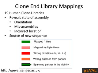 Clone End Library Mappings 
19 Human Clone Libraries 
• Reveals state of assembly 
• Orientation 
• Mis-assemblies 
• Incorrect location 
• Source of new sequence 
Mapped 1 time 
Mapped multiple times 
Wrong direction (<<, <>, >>) 
Wrong distance from partner 
Spanning partner in the vicinity 
http://geval.sanger.ac.uk/ 
 