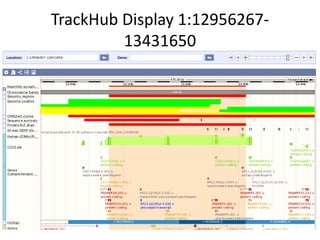 TrackHub Display 1:12956267- 
13431650 
 