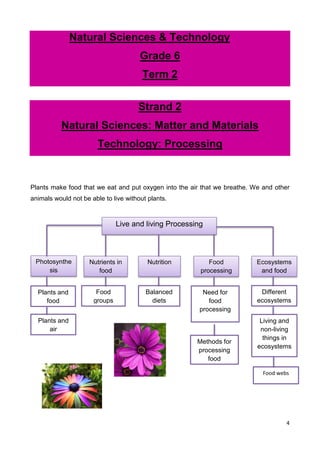 Natural Sciences and Technology Grade 6 - ppt download