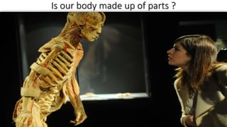 Is our body made up of parts ?
 