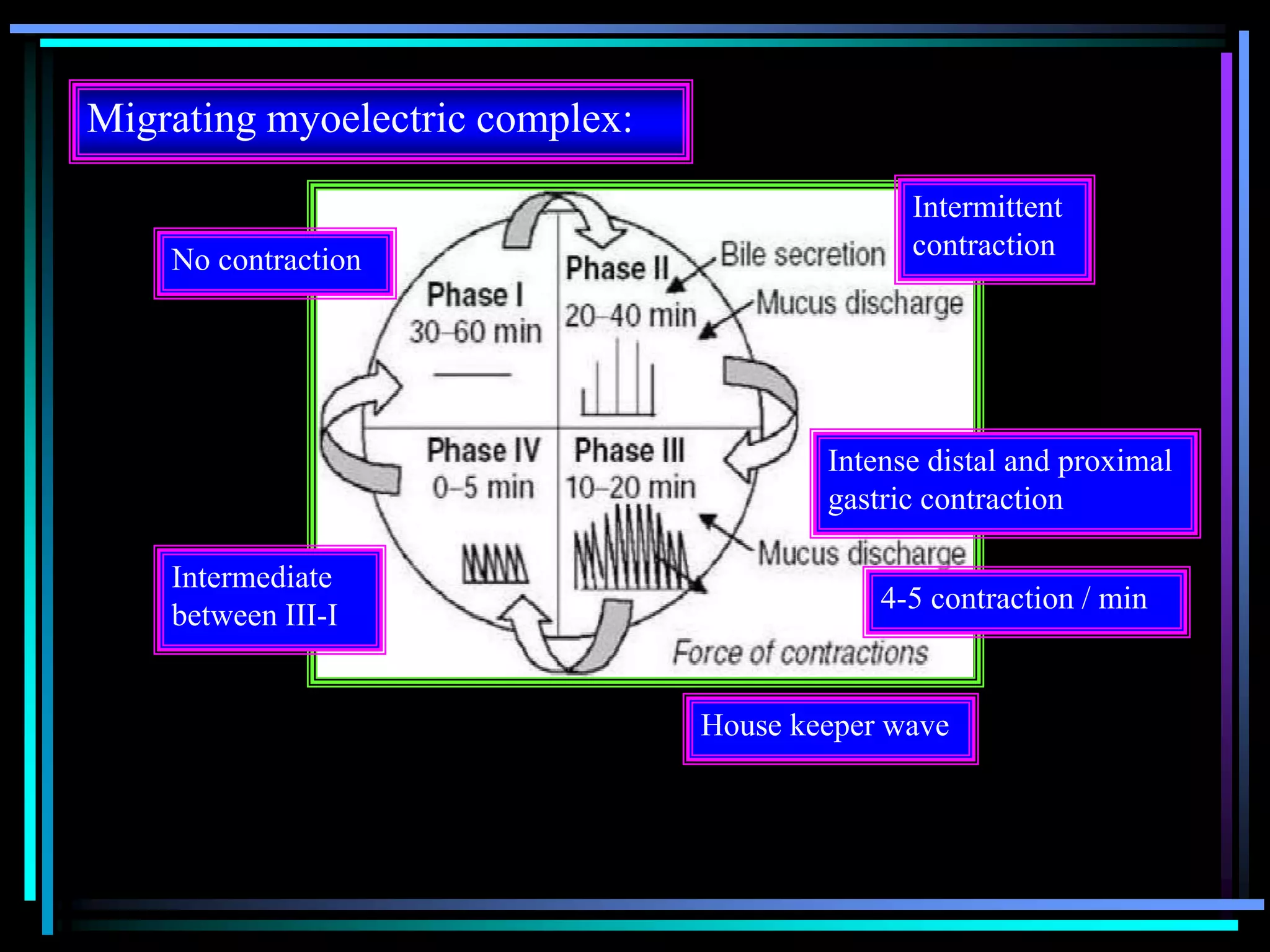 No contraction
Intermittent
contraction
Intense distal and proximal
gastric contraction
House keeper wave
4-5 contraction / min
Intermediate
between III-I
Migrating myoelectric complex:
 