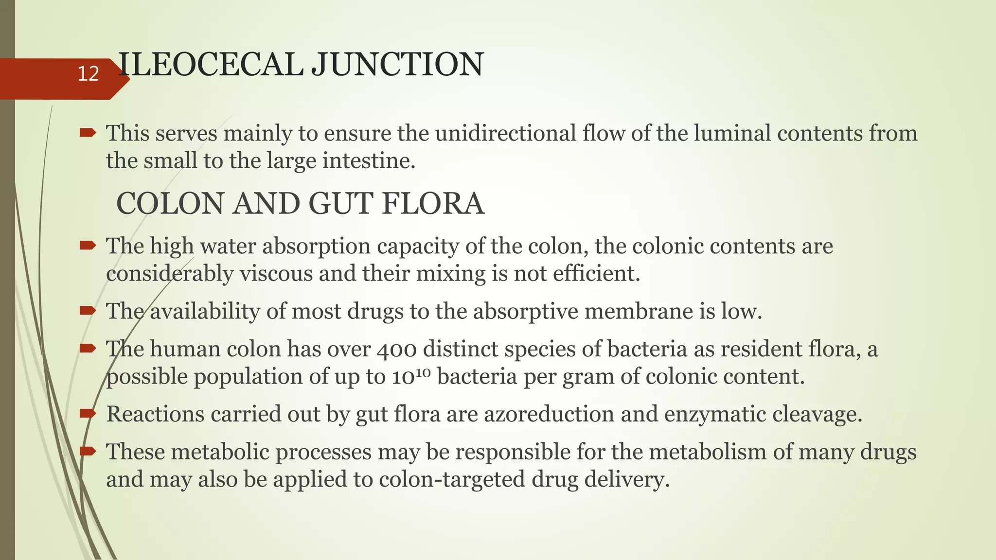 ILEOCECAL JUNCTION
 This serves mainly to ensure the unidirectional flow of the luminal contents from
the small to the large intestine.
COLON AND GUT FLORA
 The high water absorption capacity of the colon, the colonic contents are
considerably viscous and their mixing is not efficient.
 The availability of most drugs to the absorptive membrane is low.
 The human colon has over 400 distinct species of bacteria as resident flora, a
possible population of up to 1010 bacteria per gram of colonic content.
 Reactions carried out by gut flora are azoreduction and enzymatic cleavage.
 These metabolic processes may be responsible for the metabolism of many drugs
and may also be applied to colon-targeted drug delivery.
12
 