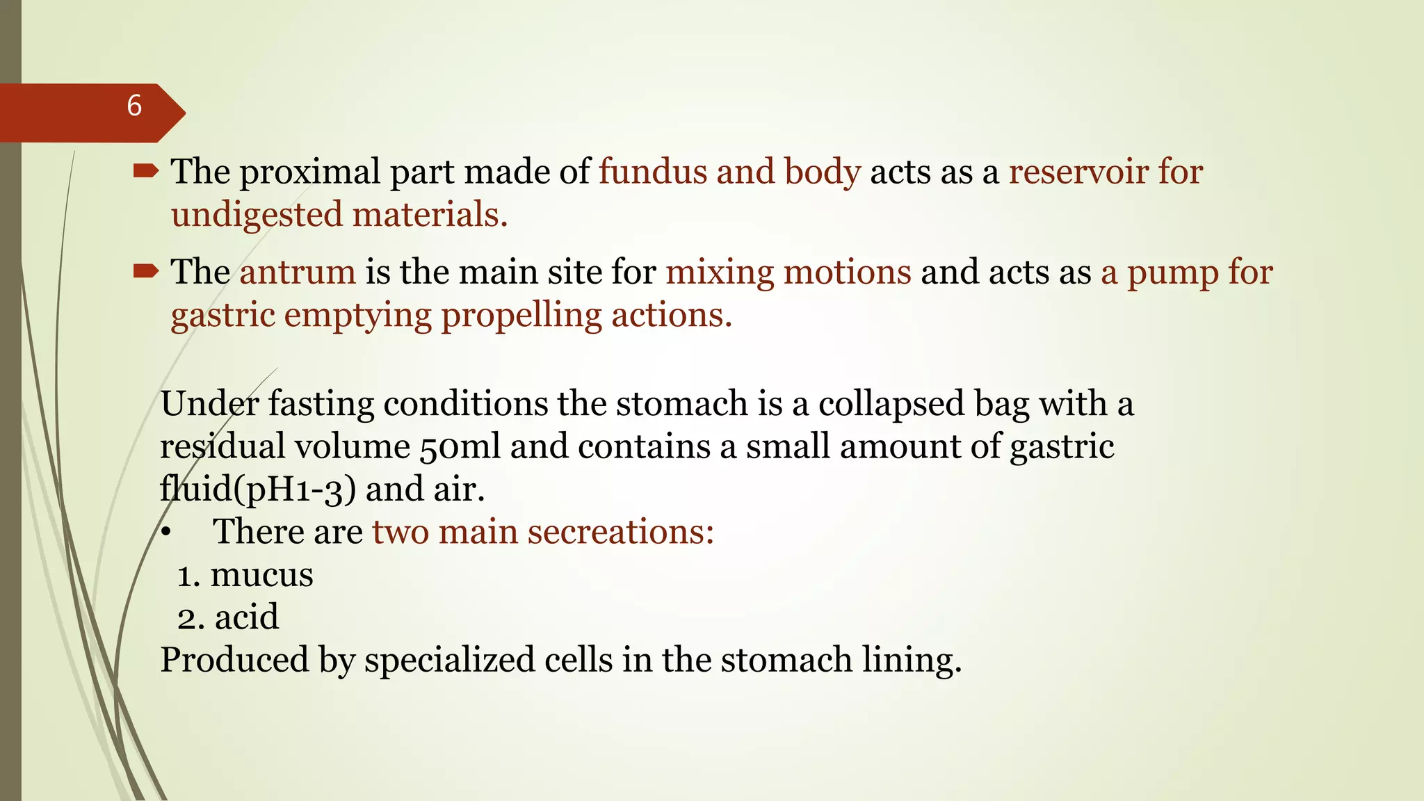  The proximal part made of fundus and body acts as a reservoir for
undigested materials.
 The antrum is the main site for mixing motions and acts as a pump for
gastric emptying propelling actions.
Under fasting conditions the stomach is a collapsed bag with a
residual volume 50ml and contains a small amount of gastric
fluid(pH1-3) and air.
• There are two main secreations:
1. mucus
2. acid
Produced by specialized cells in the stomach lining.
6
 