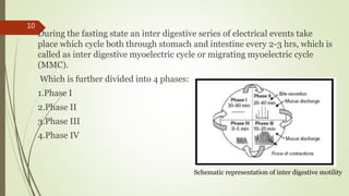 During the fasting state an inter digestive series of electrical events take
place which cycle both through stomach and intestine every 2-3 hrs, which is
called as inter digestive myoelectric cycle or migrating myoelectric cycle
(MMC).
Which is further divided into 4 phases:
1.Phase I
2.Phase II
3.Phase III
4.Phase IV
Schematic representation of inter digestive motility
10
 