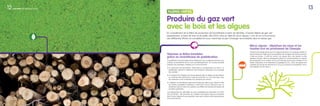 13
Valoriser la ﬁlière forestière
grâce au biométhane de gazéiﬁcation
La gazéiﬁcation de la biomasse sèche et ligneuse, bois ou paille par exemple, pour
produire du biométhane est en cours de développement. Ce nouveau procédé
présente des avantages multiples pour l’environnement :
• La ressource est abondante, disponible et transformable sur place. La
gazéiﬁcation garantit le traitement des émissions polluantes et le recyclage
des cendres.
• Le transport de l’énergie sous forme gazeuse dans le réseau de gaz existant
en souterrain relie directement l’unité de production au cœur des villes, sans
les nuisances ou les contraintes d’un transport par camion.
• L’utilisation du biométhane reste aussi simple que celle du gaz naturel et offre
les mêmes possibilités d’utilisation, notamment comme carburant avec un
rendement près de deux fois supérieur aux ﬁlières de biocarburant liquide de
deuxième génération.
Les perspectives de cette ﬁlière qui sera industriellement disponible d’ici 2020
sont immenses : elle permettra de mobiliser l’abondante ressource forestière
de la France, largement sous-exploitée, dans des conditions très respectueuses
de l’environnement.
Micro algues : dépolluer les eaux et les
fumées tout en produisant de l’énergie
Produire de l’énergie grâce aux micro algues est devenu en quelques années un
axe de recherche majeur pour les entreprises de l’énergie et de l’environnement.
L’idée est simple : il sufﬁt de cultiver ces algues dans des bassins ou des
réacteurs fermés. Elles se développent grâce à la photosynthèse en captant
les phosphates et les nitrates, fournis par exemple par les eaux polluées d’une
station d’épuration, et en absorbant au passage du CO2
. Ainsi, ces algues sont
capables de recycler les déchets et le CO2
pour produire du biométhane 100%
renouvelable. Qui dit mieux ?
Produire du gaz vert
avec le bois et les algues
En complément de la ﬁlière de production de biométhane à partir de déchets, d’autres ﬁlières de gaz vert
apparaissent, à base de bois et de paille, dès 2020 voire au-delà de micro algues ! Loin de se concurrencer,
ces différentes ﬁlières se compléteront pour maximiser la part d’énergie renouvelable dans le réseau gaz.
FILIÈRES VERTES
12 GrDF 2030, aujourd’hui pour demain
 