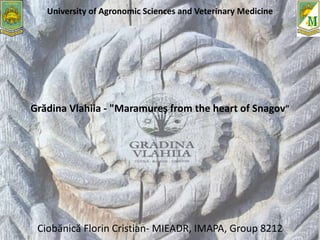 University of Agronomic Sciences and Veterinary Medicine
Grădina Vlahiia - "Maramureş from the heart of Snagov"
Ciobănică Florin Cristian- MIEADR, IMAPA, Group 8212
 