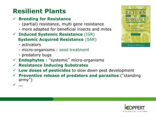 Resilient Plants
 Breeding for Resistance
- (partial) resistance, multi gene resistance
- more adapted for beneficial insects and mites
 Induced Systemic Resistance (ISR)
Systemic Acquired Resistance (SAR)
- activators
- micro-organisms : seed treatment
- predatory bugs
 Endophytes : “systemic” micro-organisms
 Resistance Inducing Substrates
 Low doses of pesticides to slow down pest development
 Preventive release of predators and parasites (“standing
army”)
 …
 