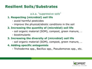 Resilient Soils/Substrates
a.k.a. “suppressive soils”
1. Respecting (microbial) soil life
- avoid harmful pesticides
- improve the physical/abiotic conditions in the soil
2. Increasing the quantity of (microbial) soil life
- soil organic material (SOM), compost, green manure, …
- biostimulants
3. Increasing the diversity of (microbial) soil life
- soil organic material (SOM), compost, green manure, …
4. Adding specific antagonists
- Trichoderma spp., Bacillus spp., Pseudomonas spp., etc.
 
