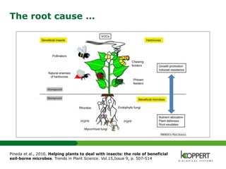 The root cause …
Pineda et al., 2010, Helping plants to deal with insects: the role of beneficial
soil-borne microbes. Trends in Plant Science. Vol.15,Issue 9, p. 507-514
 