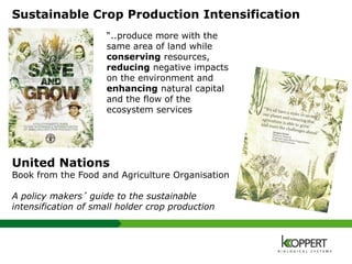 Sustainable Crop Production Intensification
“..produce more with the
same area of land while
conserving resources,
reducing negative impacts
on the environment and
enhancing natural capital
and the flow of the
ecosystem services
United Nations
Book from the Food and Agriculture Organisation
A policy makers’ guide to the sustainable
intensification of small holder crop production
 