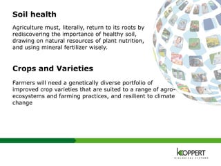 Soil health
Agriculture must, literally, return to its roots by
rediscovering the importance of healthy soil,
drawing on natural resources of plant nutrition,
and using mineral fertilizer wisely.
Crops and Varieties
Farmers will need a genetically diverse portfolio of
improved crop varieties that are suited to a range of agro-
ecosystems and farming practices, and resilient to climate
change
 