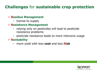 Challenges for sustainable crop protection
 Residue Management
- license to supply
 Resistance Management
- relying only on pesticides will lead to pesticide
resistance problems
- pesticide resistance leads to more intensive usage
 Rentability
- more yield with less cost and less Risk
 