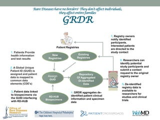 Global Rare Diseases Patient Registry & Data Repository | PPTX