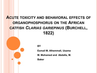 ACUTE TOXICITY AND BEHAVIORAL EFFECTS OF
ORGANOPHOSPHORUS ON THE AFRICAN
CATFISH CLARIAS GARIEPINUS (BURCHELL,
1822)
BY
Esmail M. Alhemmali, Usama
M. Mohamed and Abdalla, M.
Baker
 