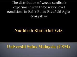 The distribution of weeds seedbank
experiment with three water level
conditions in Balik Pulau Ricefield Agro-
ecosystem
 