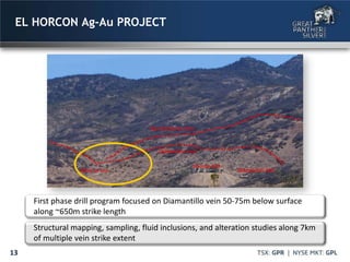 13
EL HORCON Ag-Au PROJECT
First phase drill program focused on Diamantillo vein 50-75m below surface
along ~650m strike length
Structural mapping, sampling, fluid inclusions, and alteration studies along 7km
of multiple vein strike extent
 