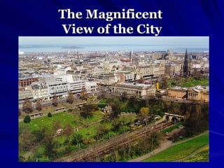 The Magnificent  View of the City 