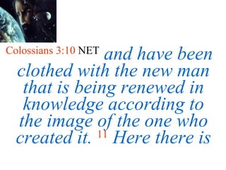 Colossians 3:10  NET   and have been clothed with the new man that is being renewed in knowledge according to the image of the one who created it.   11   Here there is 