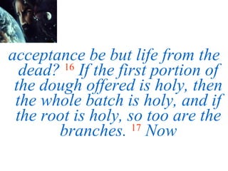 acceptance be but life from the dead?   16   If the first portion of the dough offered is holy, then the whole batch is holy, and if the root is holy, so too are the branches.   17   Now 