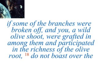 if some of the branches were broken off, and you, a wild olive shoot, were grafted in among them and participated in the richness of the olive root,  18   do not boast over the 