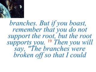 branches. But if you boast, remember that you do not support the root, but the root supports you.   19   Then you will say, "The branches were broken off so that I could 