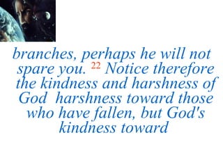 branches, perhaps he will not spare you.   22   Notice therefore the kindness and harshness of God  harshness toward those who have fallen, but God's kindness toward  