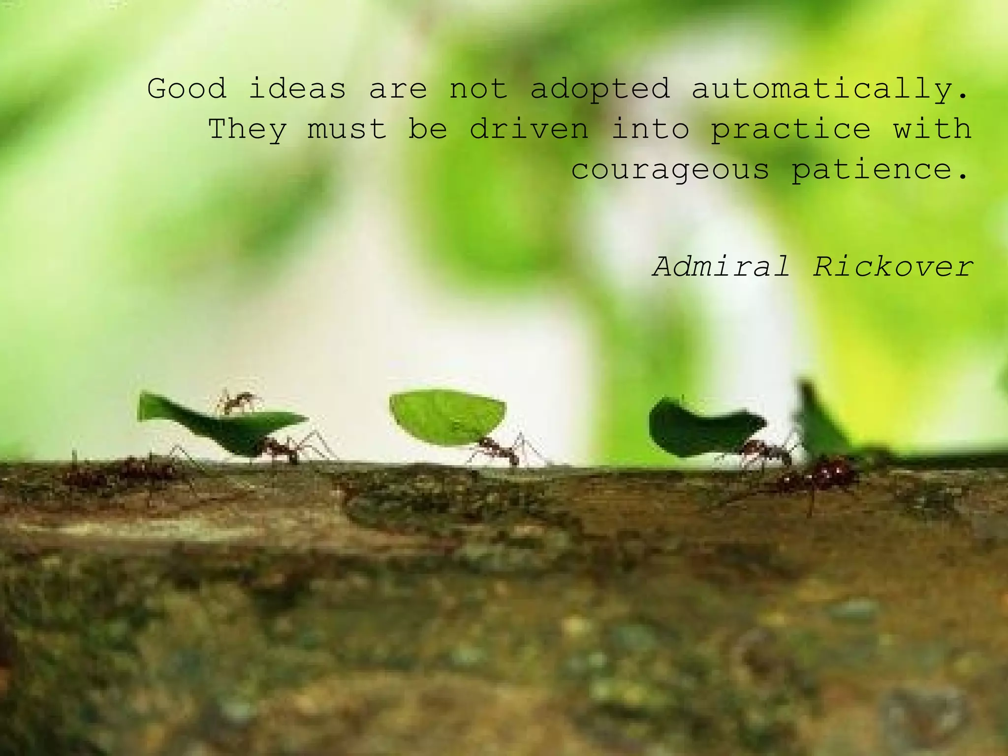 Good ideas are not adopted automatically. They must be driven into practice with courageous patience. Admiral Rickover 