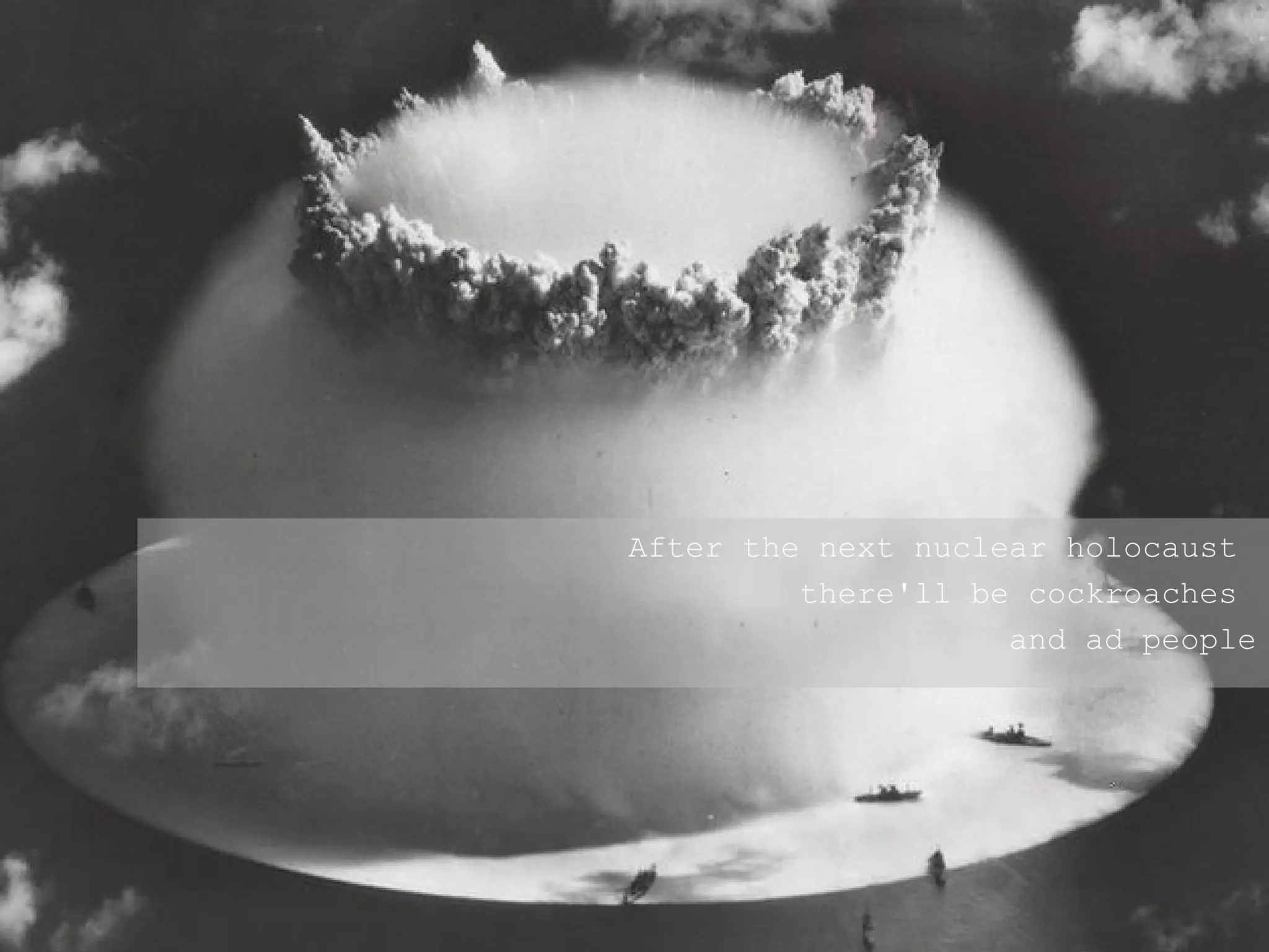 After the next nuclear holocaust  there'll be cockroaches  and ad people 