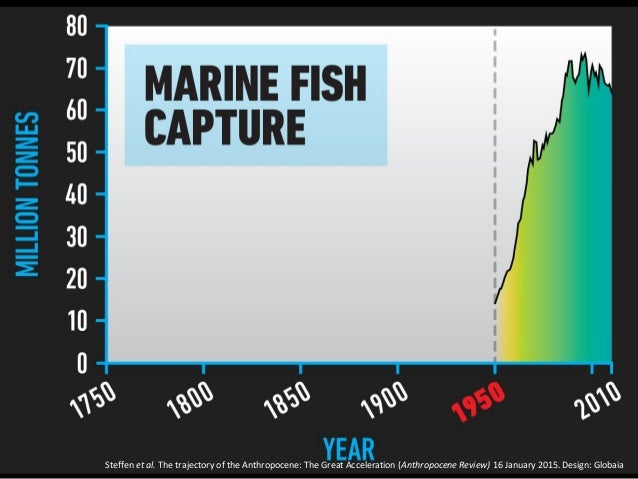Great Acceleration 2015  Slide 19