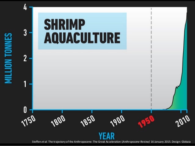 Great Acceleration 2015  Slide 22