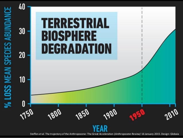 Great Acceleration 2015  Slide 25