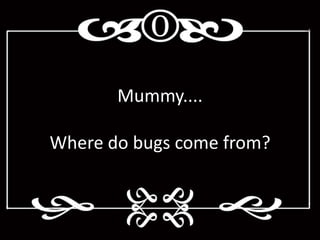 Mummy....

Where do bugs come from?
 