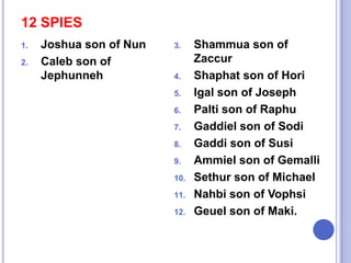 12 SPIES
1.
2.

Joshua son of Nun
Caleb son of
Jephunneh

3.

4.

5.
6.
7.
8.
9.
10.
11.

12.

Shammua son of
Zaccur
Shaphat son of Hori
Igal son of Joseph
Palti son of Raphu
Gaddiel son of Sodi
Gaddi son of Susi
Ammiel son of Gemalli
Sethur son of Michael
Nahbi son of Vophsi
Geuel son of Maki.

 