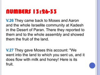 NUMBERS 13:26-33
V.26 They came back to Moses and Aaron
and the whole Israelite community at Kadesh
in the Desert of Paran. There they reported to
them and to the whole assembly and showed
them the fruit of the land.
V.27 They gave Moses this account: "We
went into the land to which you sent us, and it
does flow with milk and honey! Here is its
fruit.

 