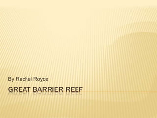 Great Barrier Reef By Rachel Royce 