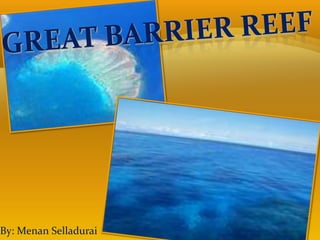 Great Barrier reef By: Menan Selladurai 
