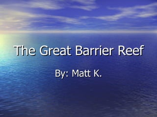 The Great Barrier Reef By: Matt K. 